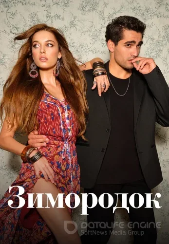 Зимородок 3 сезон 1-101, 102 серия на русском языке смотреть бесплатно все серии